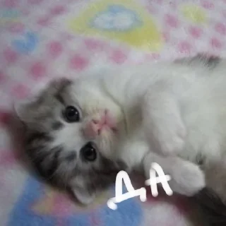 ⭐ emoji больше стикеров тут: @drowndreams Telegram sticker 12 of 18