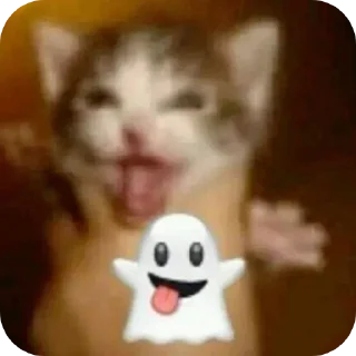 👍 emoji котостики by @haventusernameyet Telegram sticker 19 of 59
