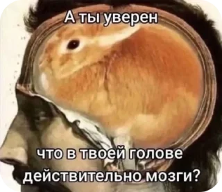 🌟 emoji #что #то #невразумительное Telegram sticker 5 of 76