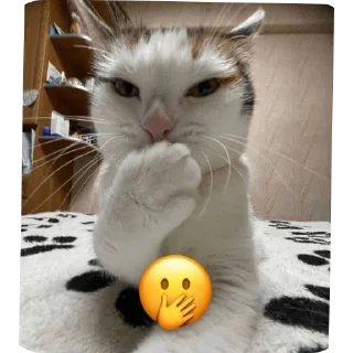 Sticker from котостики by @haventusernameyet