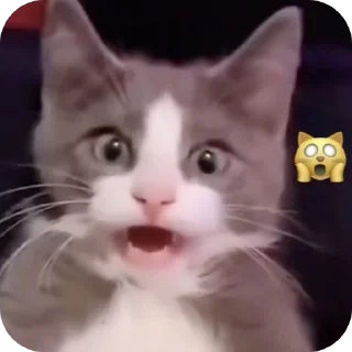 🐱 emoji котостики by @haventusernameyet Telegram sticker 11 of 59