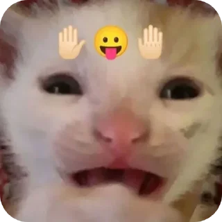 🤲 emoji котостики by @haventusernameyet Telegram sticker 7 of 59