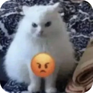 🐱 emoji котостики by @haventusernameyet Telegram sticker 10 of 59