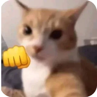 🐱 emoji котостики by @haventusernameyet Telegram sticker 22 of 59