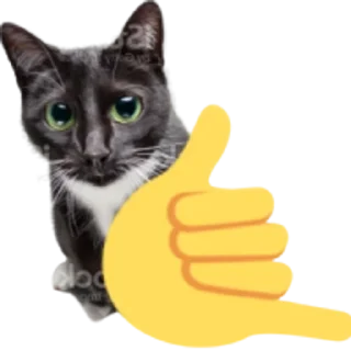 Sticker from Kitty
