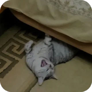Sticker from HaHa
