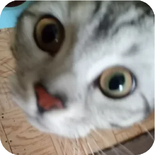 Sticker from HaHa