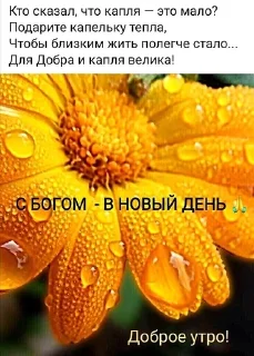 Sticker from Открытки бабушки Вари