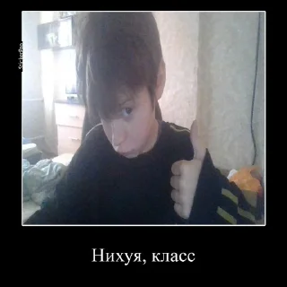 Sticker from Жмыхнутый Трикс @TrycsPom
