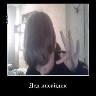 Sticker from Жмыхнутый Трикс @TrycsPom