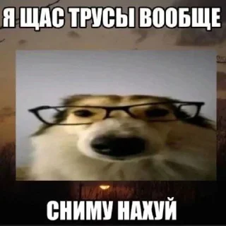 😕 emoji развод на секс Telegram sticker 7 of 7