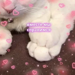 ♥️ emoji …..♡︎ Telegram sticker 7 of 50