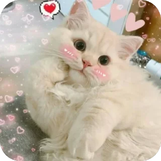 ❤ emoji …..♡︎ Telegram sticker 24 of 50
