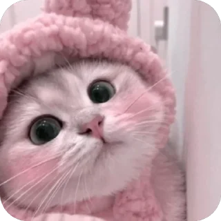 ❤ emoji …..♡︎ Telegram sticker 22 of 50