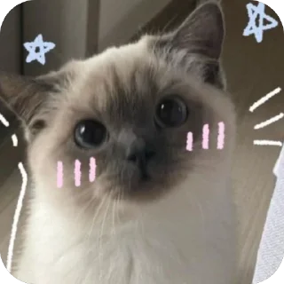 ❤ emoji …..♡︎ Telegram sticker 21 of 50