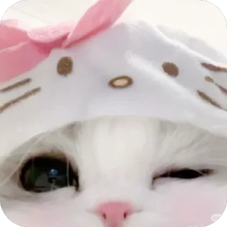 ❤ emoji …..♡︎ Telegram sticker 19 of 50