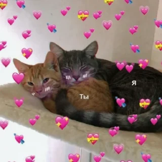 ♥️ emoji …..♡︎ Telegram sticker 5 of 50