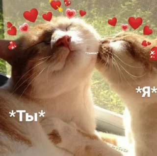 ♥️ emoji …..♡︎ Telegram sticker 6 of 50