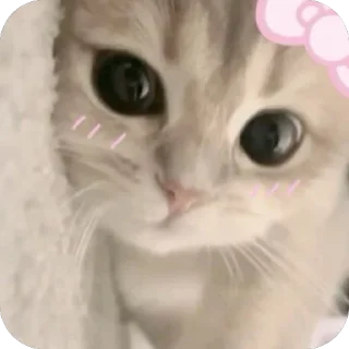 🫥 emoji …..♡︎ Telegram sticker 18 of 50