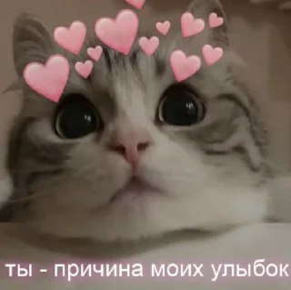 ♥️ emoji …..♡︎ Telegram sticker 8 of 50