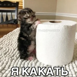 😎 emoji Алишечка 8 Telegram sticker 7 of 119