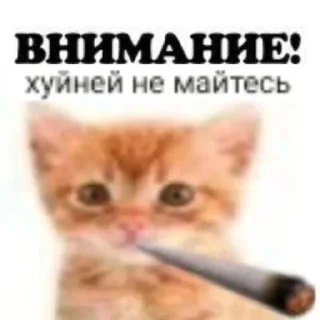 🚬 emoji Алишечка 8 Telegram sticker 12 of 119