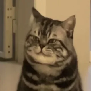😼 emoji Алишечка 8 Telegram sticker 10 of 119