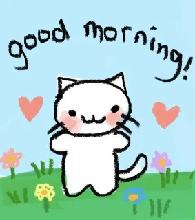 ☀️ emoji silly cats Telegram sticker 21 of 62