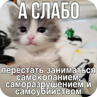 Sticker from мили кити :³ @SoyBite