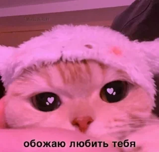 Sticker from Котя
