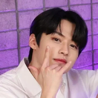 🤟 emoji lee know by @walefqq Telegram sticker 19 of 70