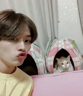 🐱 emoji lee know by @walefqq Telegram sticker 12 of 70