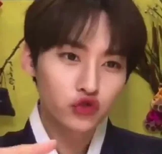 😗 emoji lee know by @walefqq Telegram sticker 5 of 70