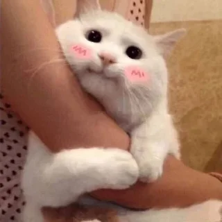🥰 emoji production666 Telegram sticker 16 of 50