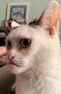 ☹️ emoji production666 Telegram sticker 24 of 50