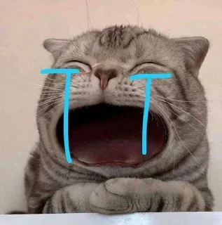 😭 emoji production666 Telegram sticker 19 of 50
