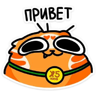 Sticker from Рыжий кот Кешбэкс  @TgSticker
