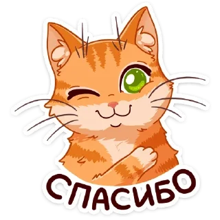 Sticker from Рыжий кот (@TgSticker)