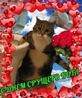 🌅 emoji я ебу собак. Telegram sticker 17 of 26