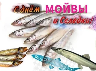 🌅 emoji я ебу собак. Telegram sticker 11 of 26