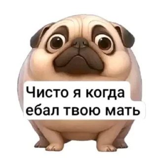 Sticker from Привет! Я использую WhatsApp ➡️