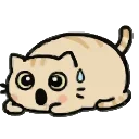 😳 emoji Забавный котик @EmodzyPremium Telegram sticker 18 of 40