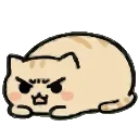 😡 emoji Забавный котик @EmodzyPremium Telegram sticker 6 of 40