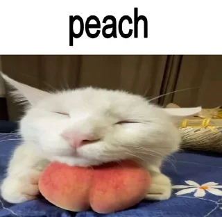 🍑 emoji фруктовые овощи Telegram sticker 5 of 13