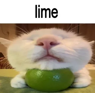 🍐 emoji фруктовые овощи Telegram sticker 7 of 13