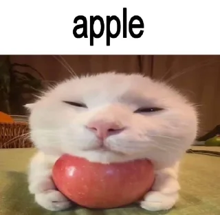 🍎 emoji фруктовые овощи Telegram sticker 10 of 13