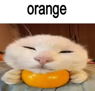 🍊 emoji фруктовые овощи Telegram sticker 8 of 13