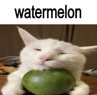🍉 emoji фруктовые овощи Telegram sticker 6 of 13