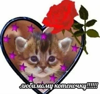 😻 emoji для любимой :: Telegram sticker 20 of 77