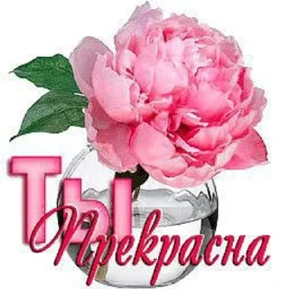 💋 emoji для любимой :: Telegram sticker 13 of 77